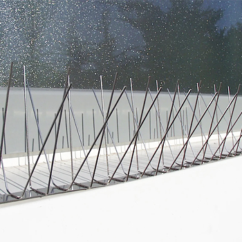 taubenabwehr_spikes-spitzen_burkhardt-schaedlingsbekaempfung